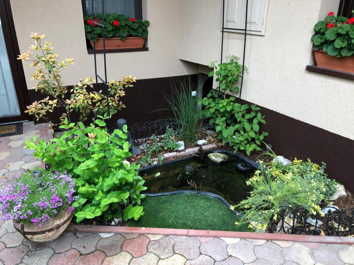 Milla Apartman Szentendre Luaran gambar